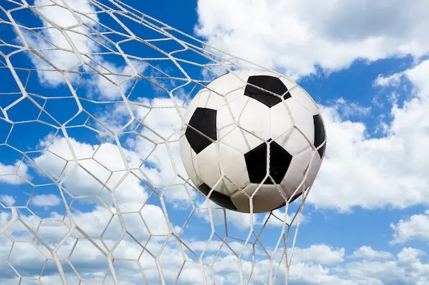 帮助中心 - 完美体育官方